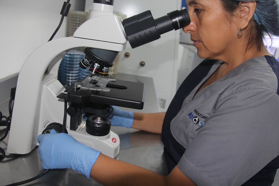 imagen Parasitología